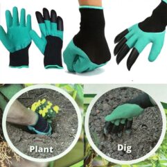 Buy online garden gloves at bonsaiplantsnursery