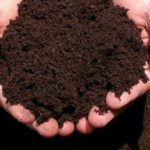 BPN 100% organic Fertilizer to Boost Fruiting and Flowering – 1kg