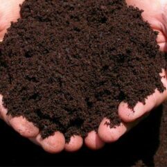 Buy online organic fertilizer at Bonsaiplantsnursery