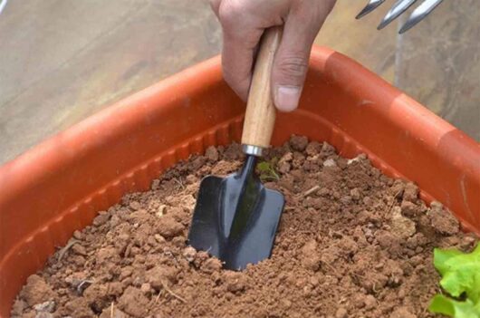 Trowel tool for gardening