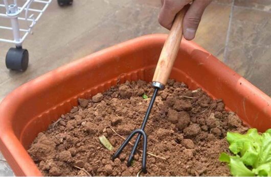 Cultivator tool for gardening