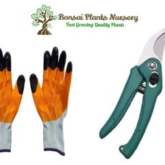 gloves and cutter for home gardening