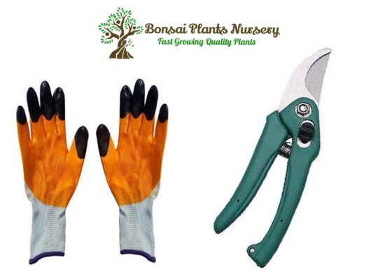 gloves and cutter for home gardening