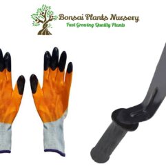 Gloves and khurpi for garden