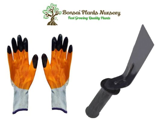 Gloves and khurpi for garden