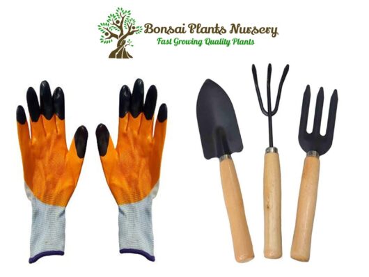Gloves and toolkit for gardening