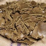 BPN Mustard Cake Fertilizer for Plants – 400 grams