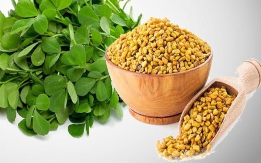 Methi seeds online for pot