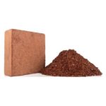 BPN Coco Peat – 350 gram