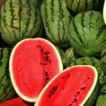 Hybrid Watermelon seeds for Super Sweet Big Size Fruits (Green) – Pack of 10 Seeds