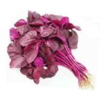 Hybrid Red Spinach Seeds – Pack of 30 Seeds