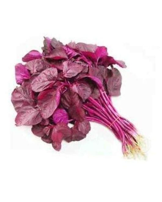 Hybrid spinach seeds online in India