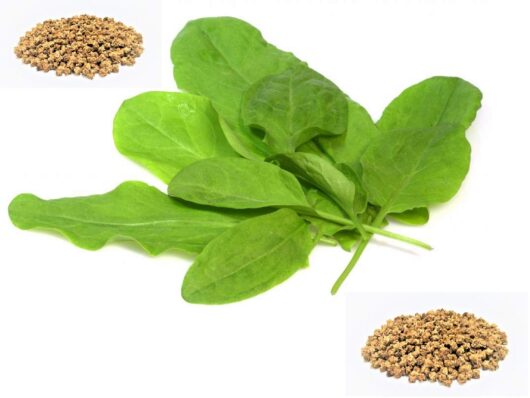 Hybrid spinach seeds online