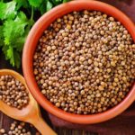 Hybrid Coriander Seeds – Pack of 50 Seeds