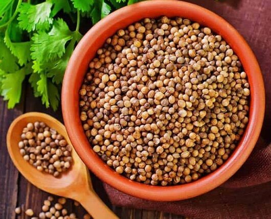 Hybrid coriander seeds for kitchen garden