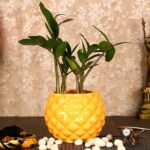 Bowl Shape Ceramic Flower Pot with Diamond cuts Design code C1