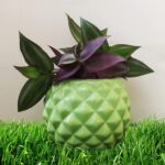 Bowl Shape Ceramic Flower Pot with Diamond cuts Design code C4
