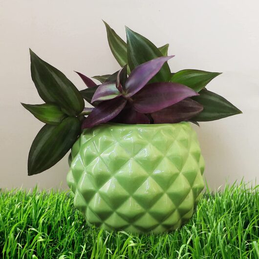 Bowl Shape Ceramic Flower Pot with Diamond cuts Design code C4