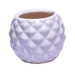Bowl Shape Ceramic Flower Pot with Diamond cuts Design code C5
