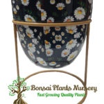 Stylish Printed Metal Planter with Tripod Metal Stand Multicolor – Design Code  A48
