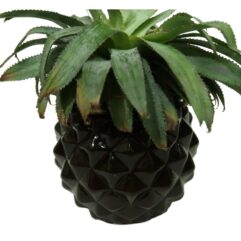 Bowl Shape Ceramic Flower Pot with Diamond cuts Design code C3
