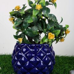 Bowl Shape Ceramic Flower Pot with Diamond cuts Design code C2