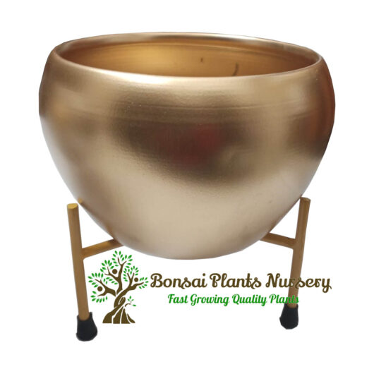 Stylish_golden_color_metal_pot