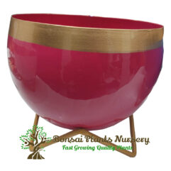 Stylish metal planter for home decoration