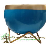 Stylish Printed Metal Planter with Tripod Metal Stand Multicolor – Design Code  A34