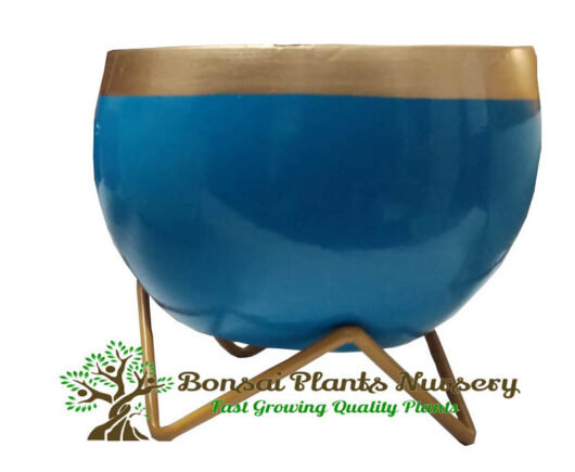 stylish_round_metal_pot_blue2