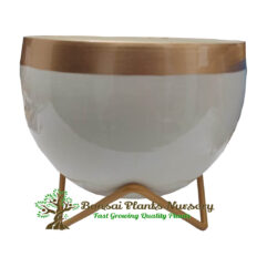 stylish_round_metal_pot_white