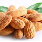 Fresh Giri Almonds kernel