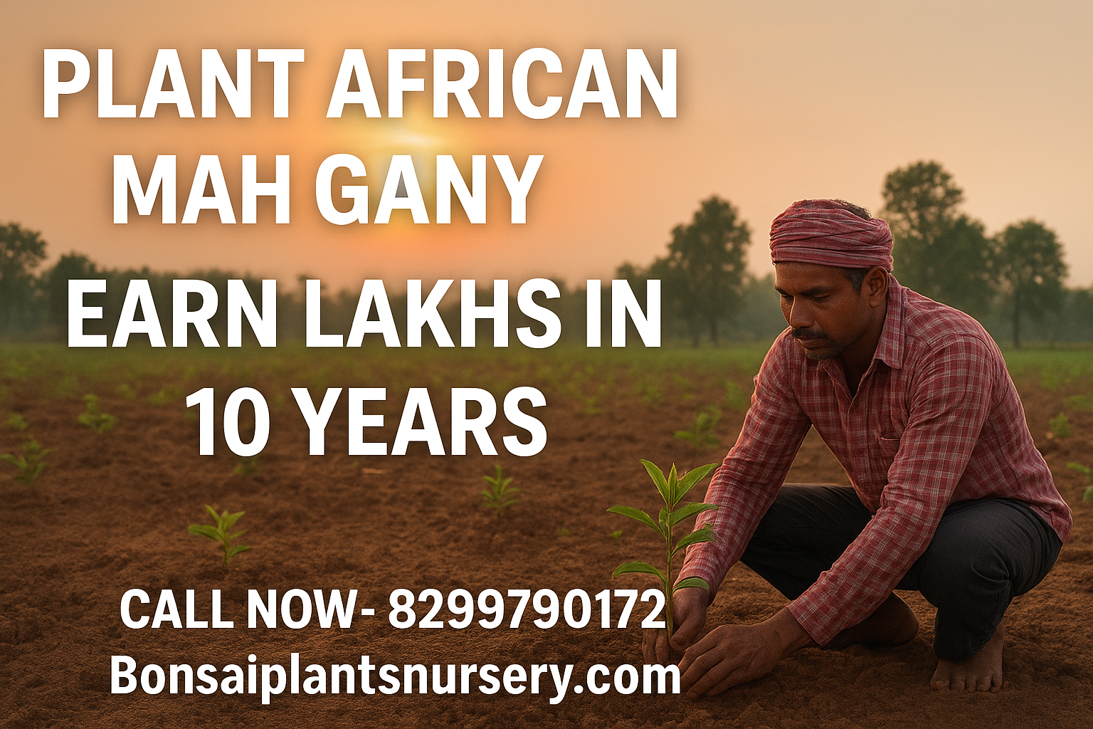 Plant African Mahogany – Earn Lakhs in 10 Years