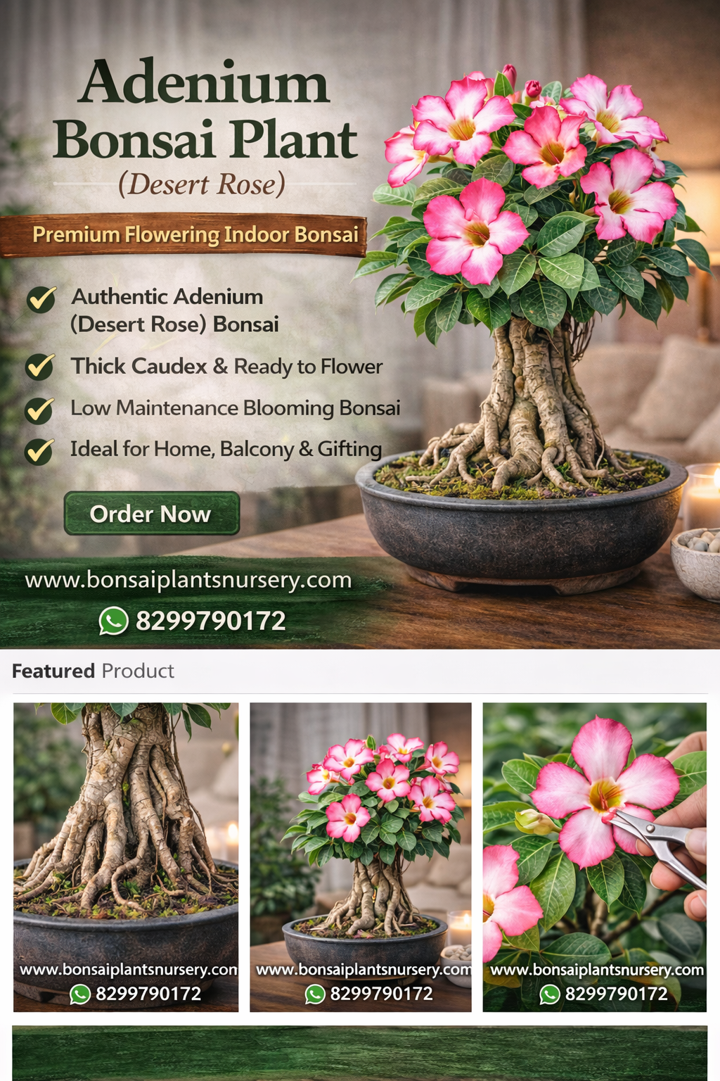 Adenium_Bonsai_Floral_elegance_for_homes