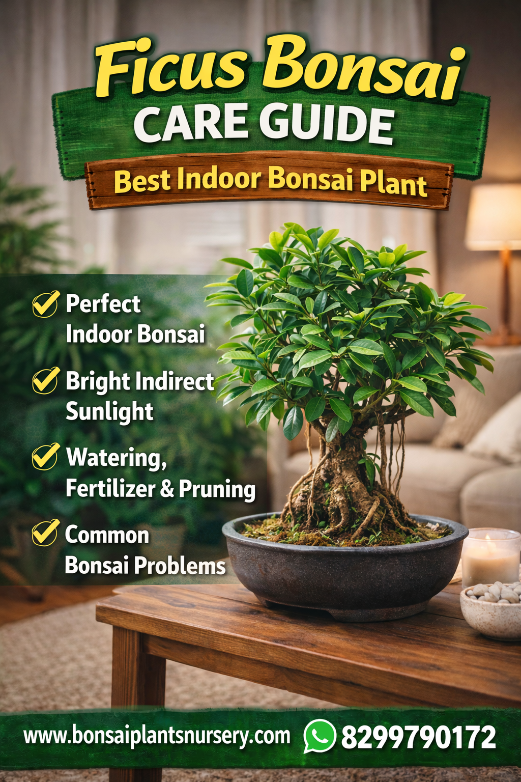 Ficus_Bonsai_Care_Guide