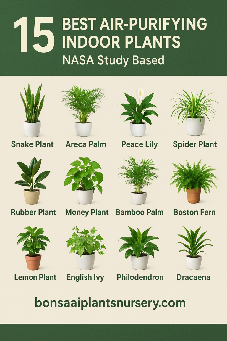 🌿 15 Best Air-Purifying Indoor Plants (NASA Study Based) – Easiest to ...