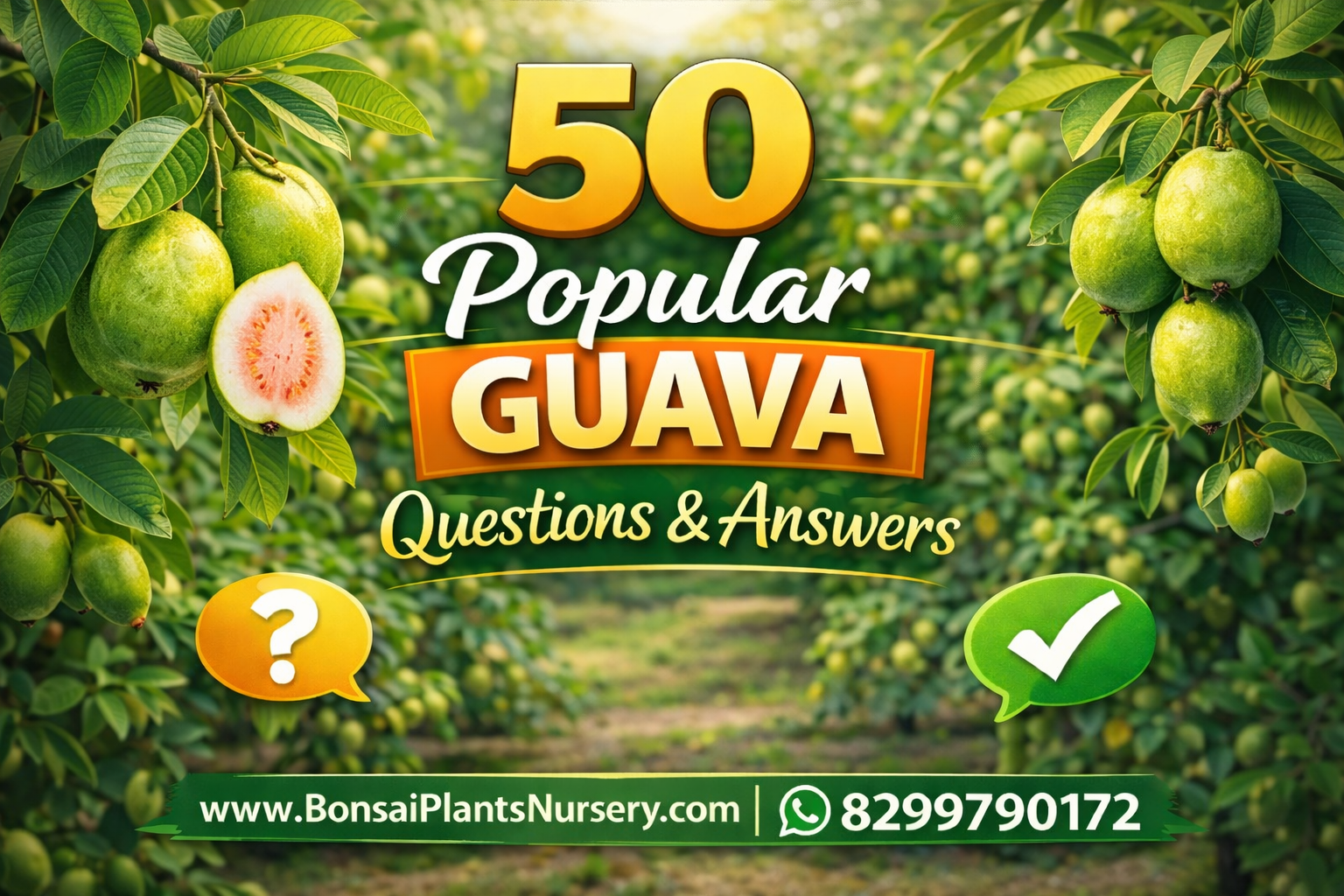 50_Frequently_Asked_Questions_About_Guava