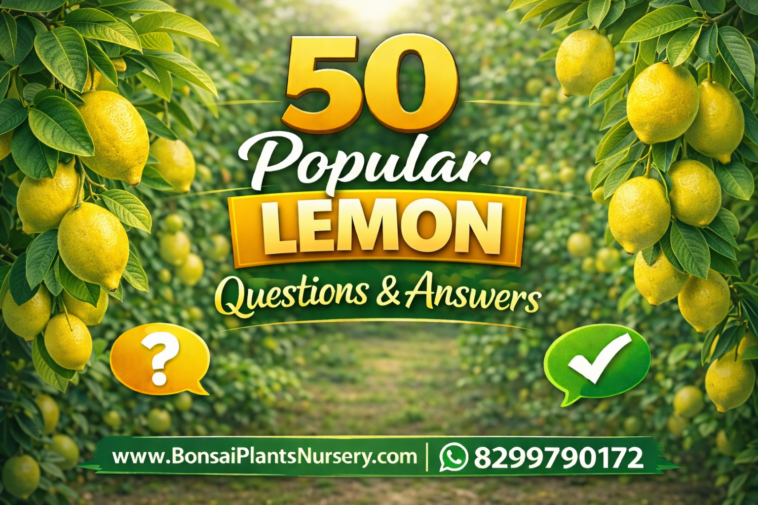 50_Frequently_Asked_Questions_About_Lemon