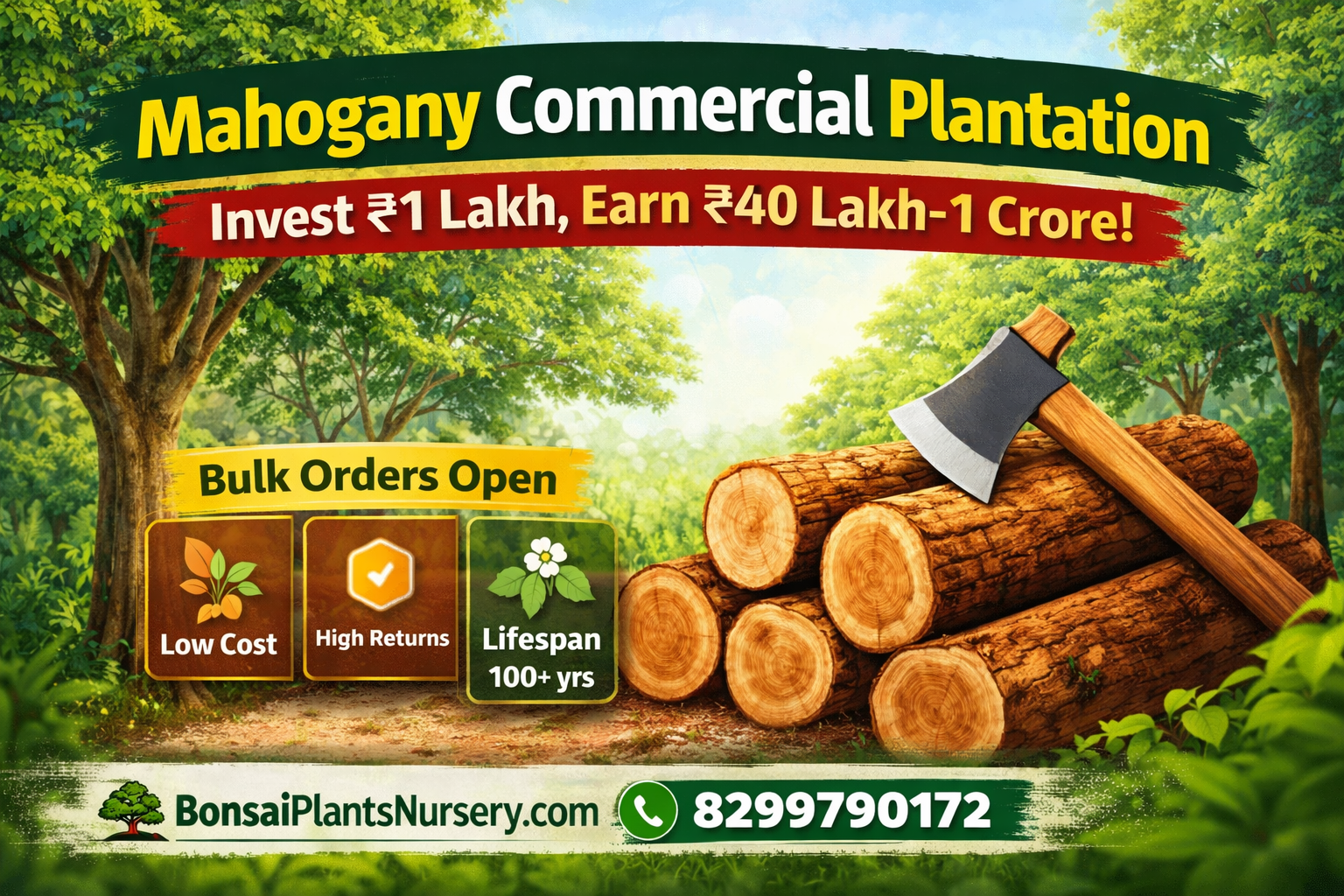 Mahogany Commercial Plantation