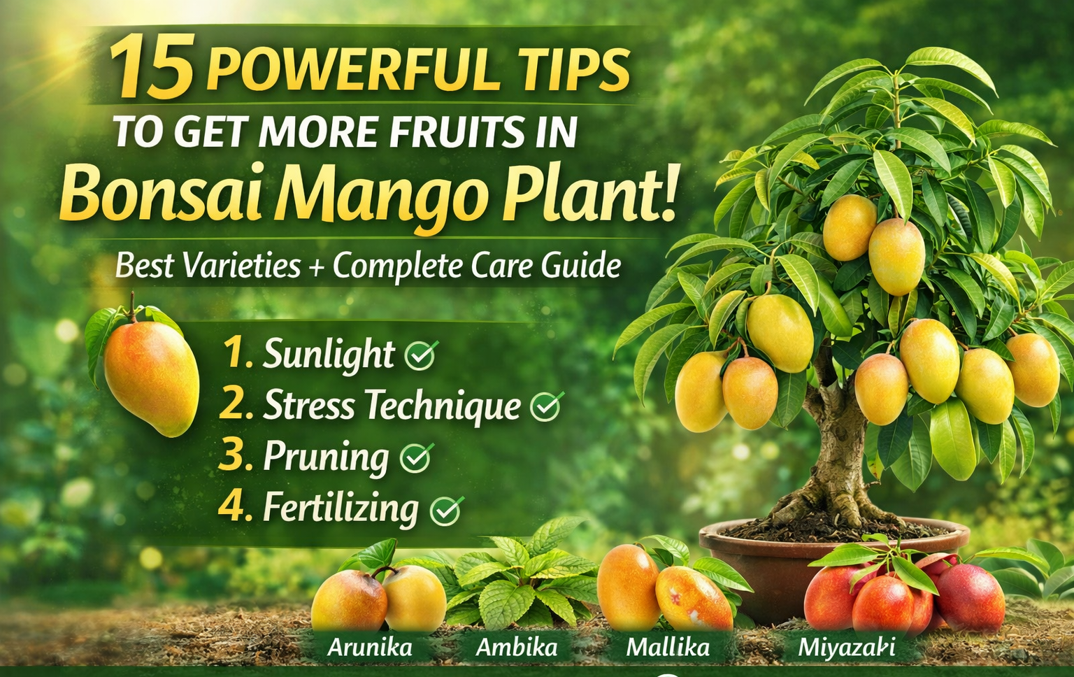 🥭 15 Powerful Tips to Get More Fruits in Bonsai Mango Plant | Best Varieties (Arunika, Ambika, Mallika, Miyazaki) + Complete Care Guide