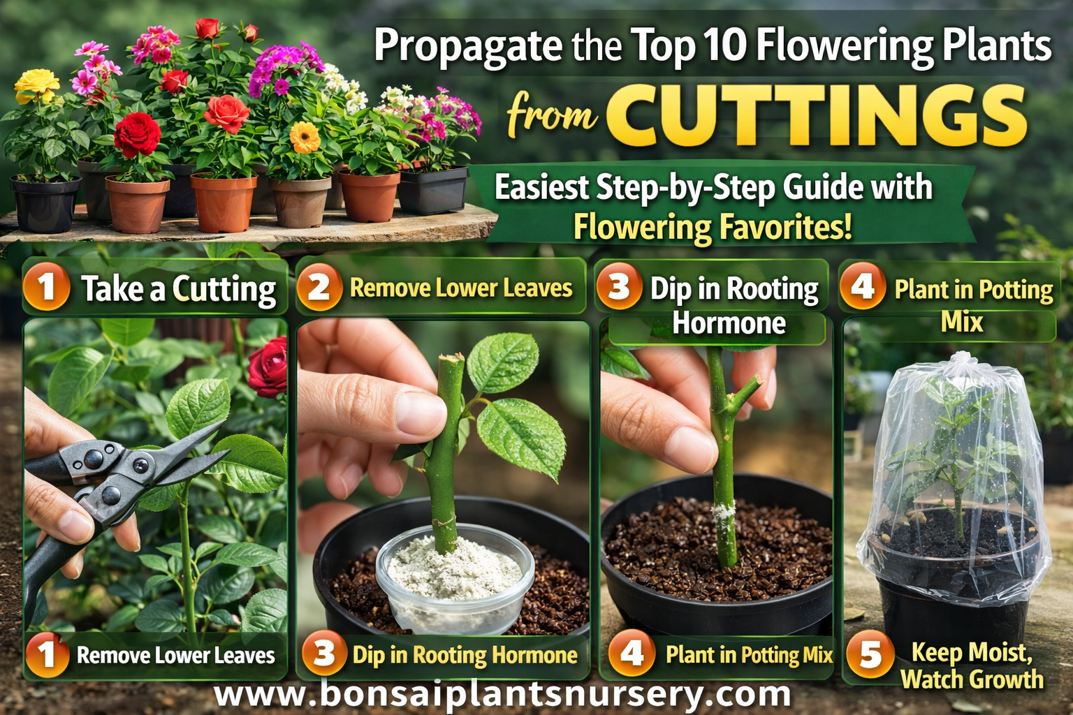 🌸 10 Best Flowering Plants You Can Grow from Cuttings & Step-by-Step Easy Propagation Guide (5200+ Words)
