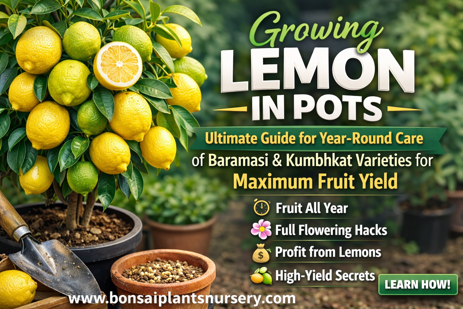 🍋 Grow Tons of Lemons in Pots – Ultimate 5200+ Words Expert Guide for Baramasi, Kagzi & Kumbhkat Lemon