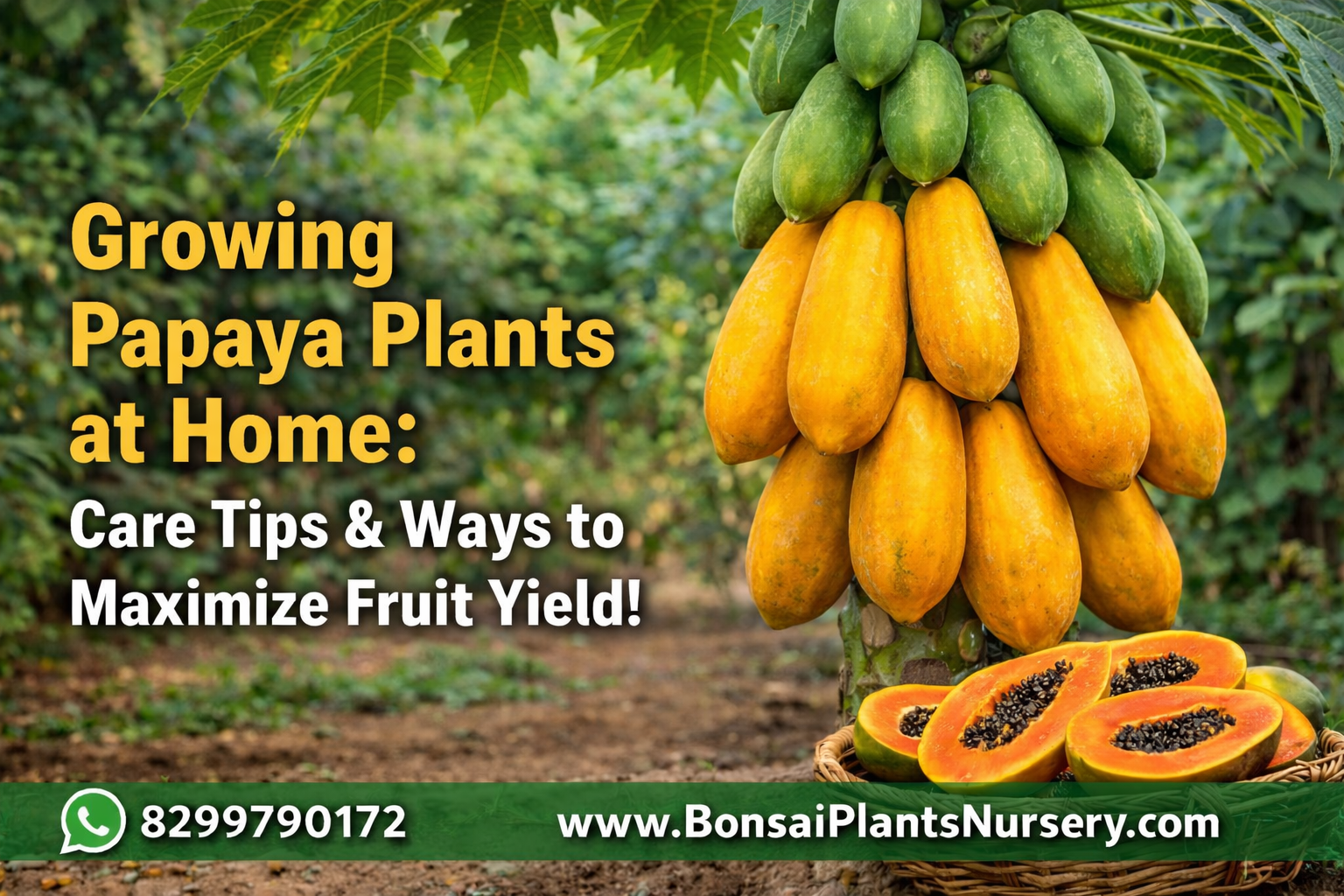 Papaya Plant: Complete Guide to Growing, Caring, and Getting Maximum Fruits at Home