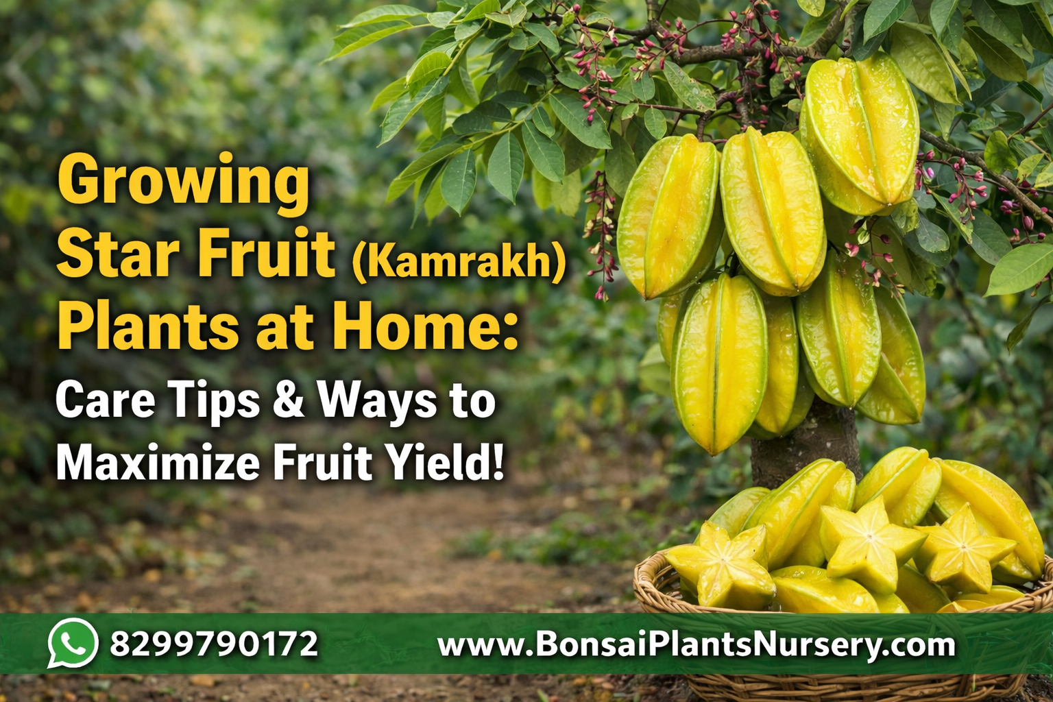 Star Fruit (Kamrakh) Plant: Complete Guide to Growing, Caring, and Getting Maximum Fruits at Home
