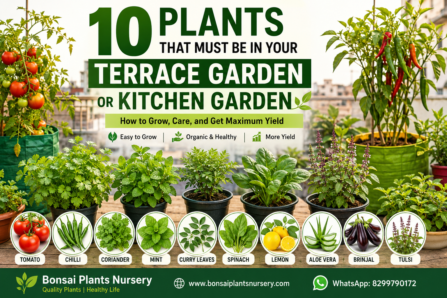 10_must_to_grow_plants