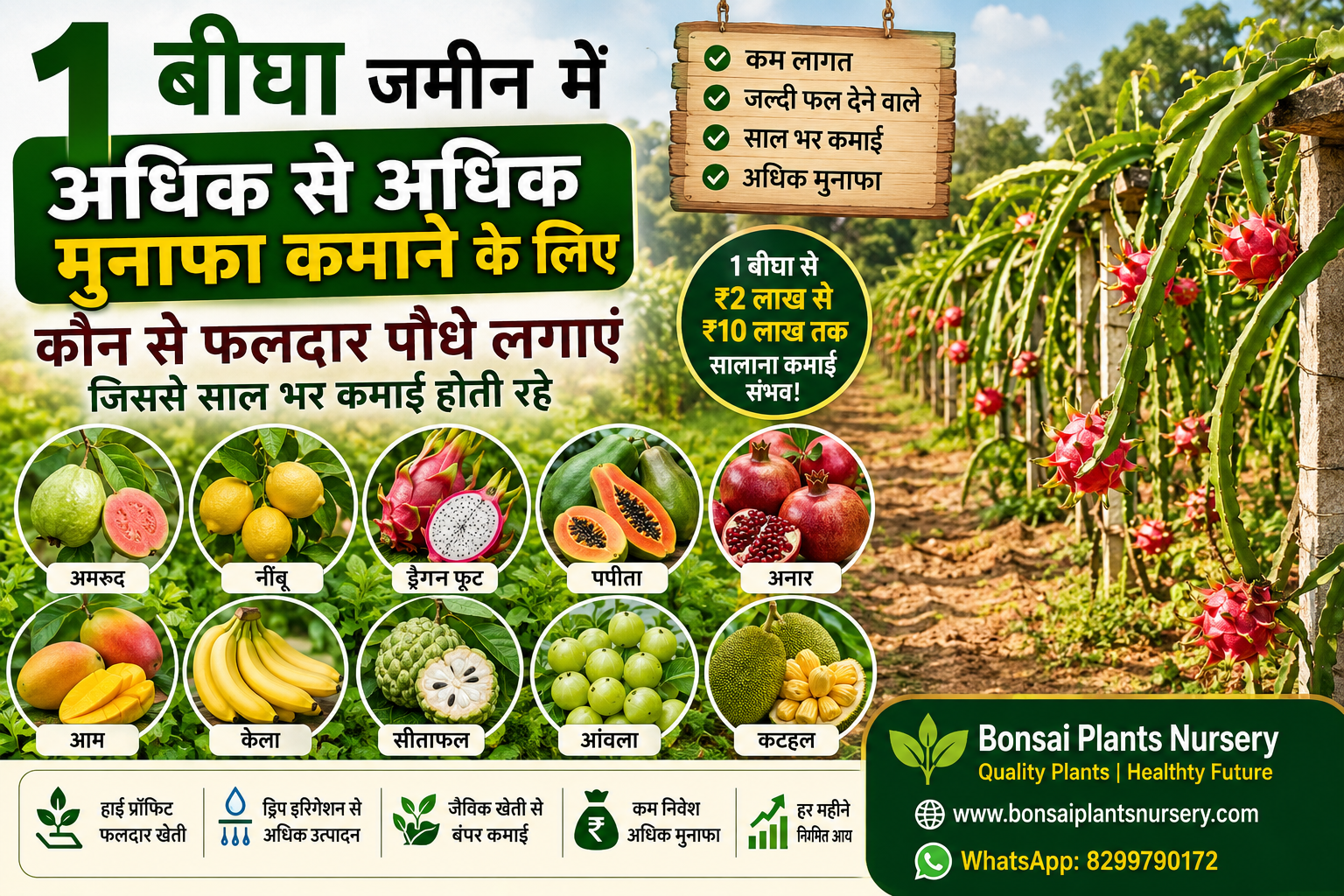 1_Bigha_Land_to_Earn_Maximum_Profit