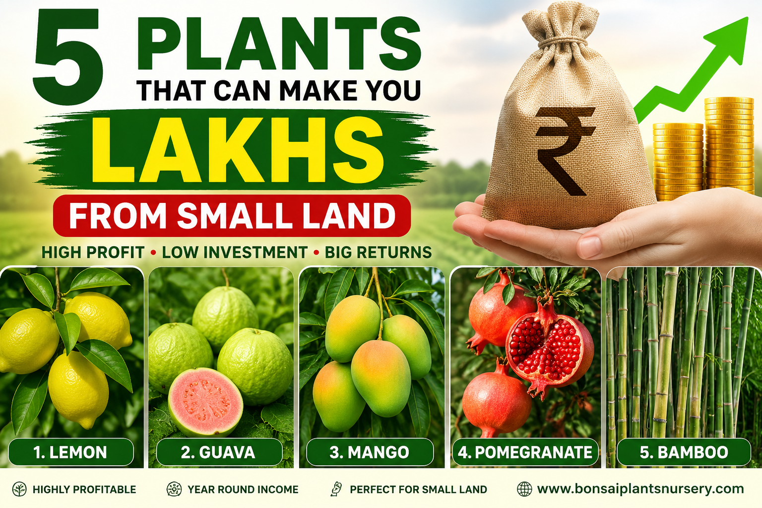 5_Plants_That_Can_Make_You_Lakhs