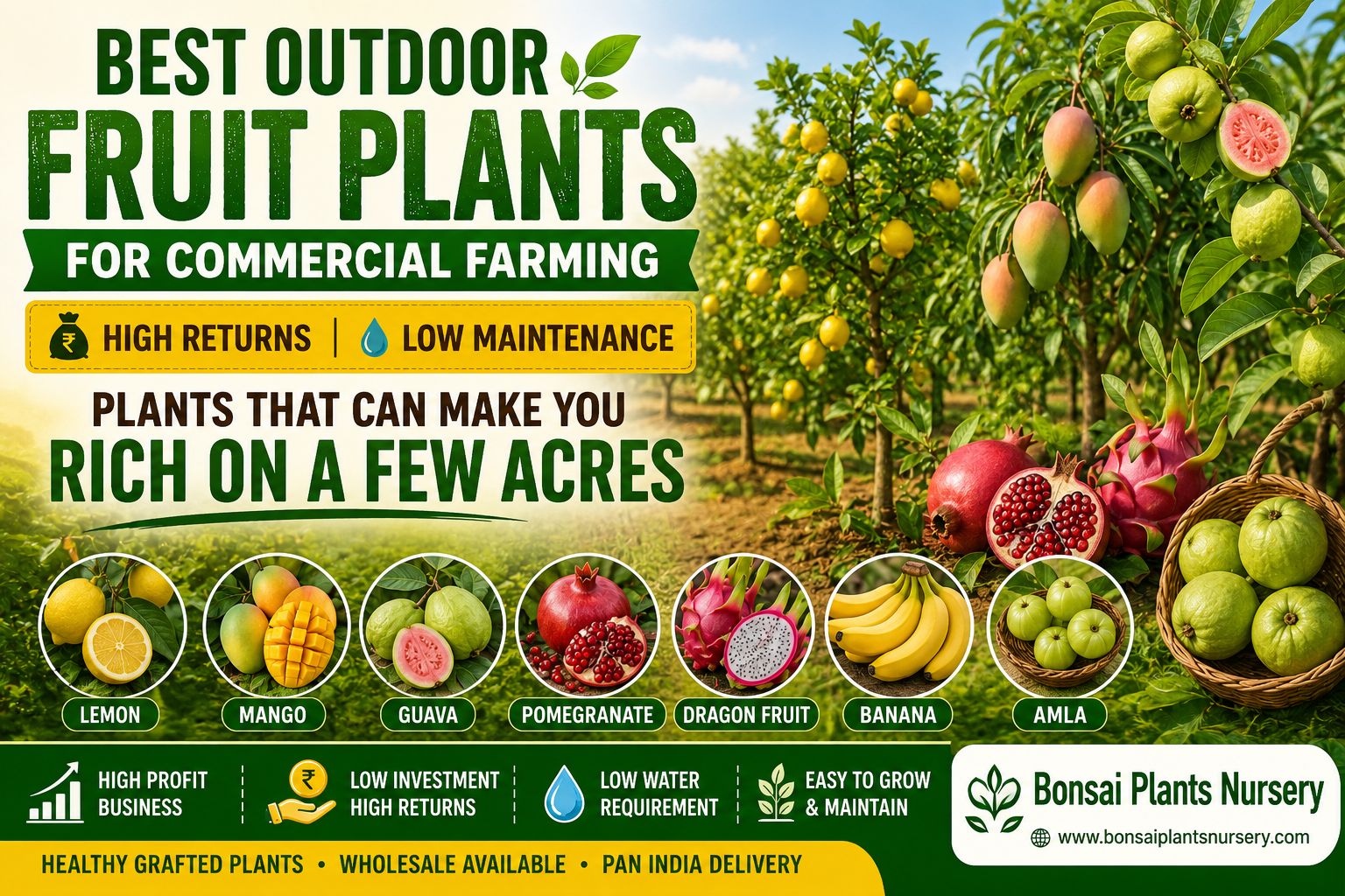 Best_Outdoor_Fruit_Plants_for_Commercial_Farming