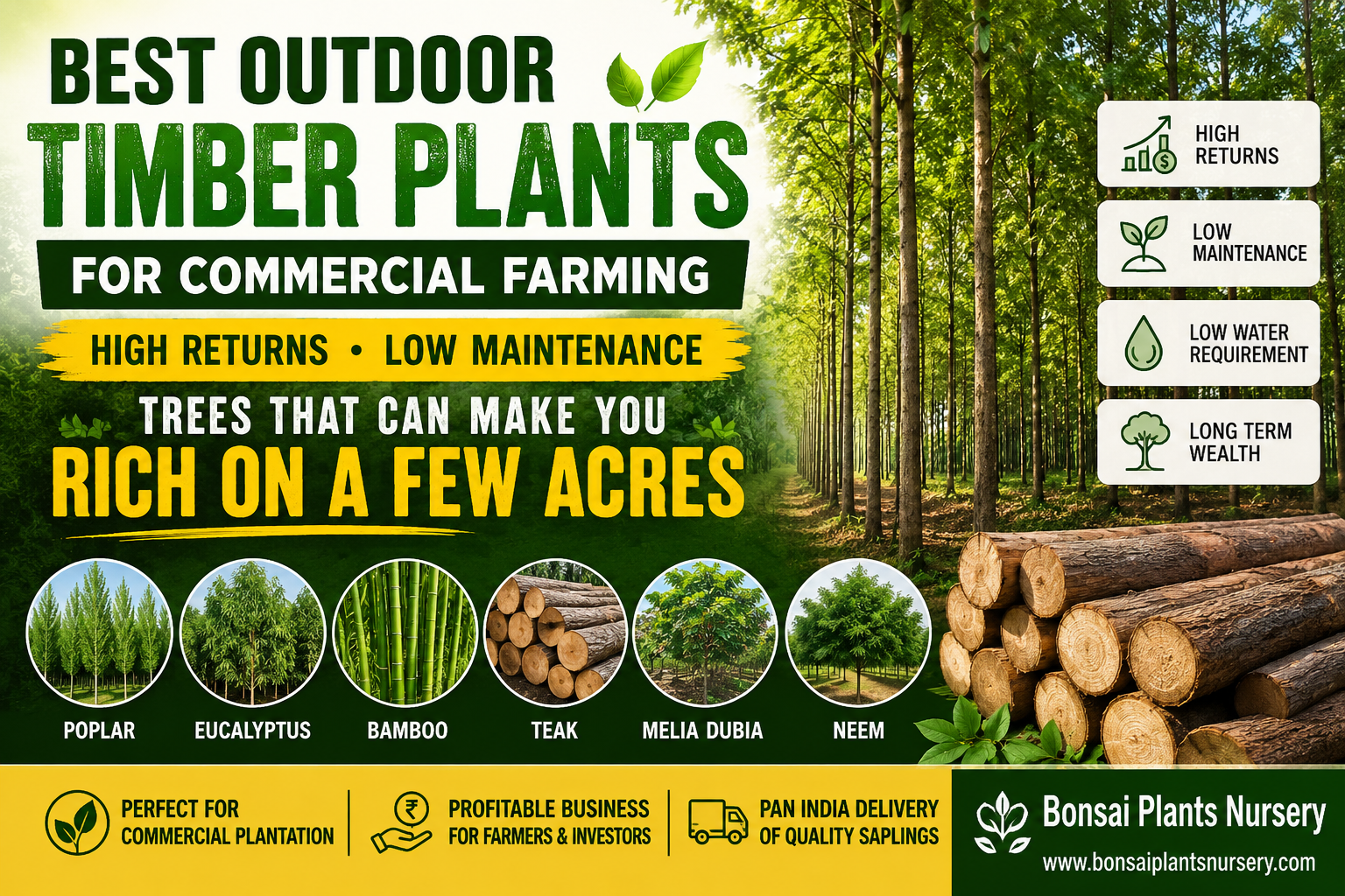 Best_Outdoor_Timber_Plants