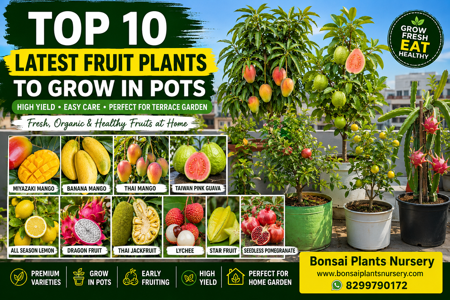Top_10_Latest_Fruit_Plants